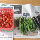 선돌농장 이미지