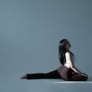 서유2호 이미지