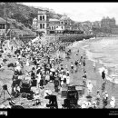 세계 끝의 버섯 이미지