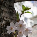 광덕산근린공원 이미지