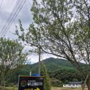 우니메이카 고령점 | 대구에서 가까운 고령 캠핑장 "우니 메이카"다녀온 후기