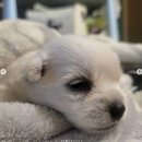 윤택 이미지