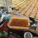 캠핑요리추천 트레이더스와일드컷 뼈삼겹 솔직후기!! (+김치전) (내돈내산)