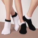 페르시안 캣 이미지