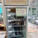 애나스 | 빠띠쓰리애나스 :: 구미동 분당 3대 빵집 내돈내산 후기(단팥빵, 슈크림빵, 크림치즈모찌)