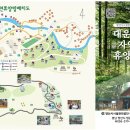 대운산 자연휴양림 캠핑장 이미지
