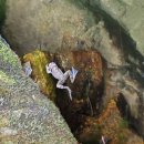 구곡폭포 이미지