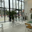 다니워리 이미지