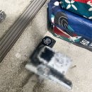 태산아파트 | 인천 계산동열쇠 태산아파트 번호키도어락 잠긴문 개문 교체 출장 후기
