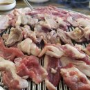 정준오리 이미지