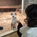 금천 어린이집 | 금천 동물원 쥬라리움 동물 먹이주기 키즈카페까지 가성비 대박