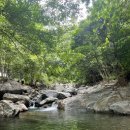 맑은물펜션민박 이미지