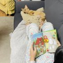 제니스동물병원 이미지