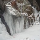 장한말길 이미지