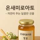 온새미로 아토 이미지