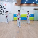 한국체대 태평양 태권도 이미지