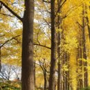 송정제방 이미지