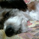 가양3동 이미지