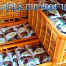 산드리약초