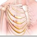 갈비뼈 실금 증상 치료 및 통증 예방하는 방법 이미지