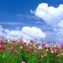 두메산골 이미지