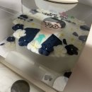 낮은제주 | 2026년 2월 제주일상 영원히 행복의 역치가 낮은 사람으로 살게 되기를