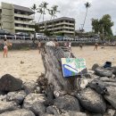 샌드비치 이미지