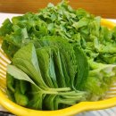 승일환경 | 내돈내산 담양 승일식당, 숯불향 가득 부드러운 돼지갈비 택배까지