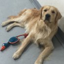 부마클럽 이미지