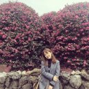 남원읍-53 이미지