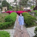 CEO EUN -철쭉꽃. 튜립 만발 도곡렉슬 A (25.04.21) 이미지