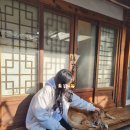 강아지&고양이 마을 | 종로/북촌숙소 한옥게스트하우스201 강아지와 고양이가 반겨주는 북촌한옥마을근처게하 후기