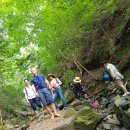 오도산 자연휴양림 이미지