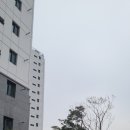 박촌동경로당 네이버블로그