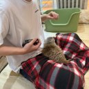 마리앤쥬 - 연수구 신송로125번길 13 | 대전 둔산동 데이트 추천 l 마리앤쥬 동물원 후기