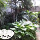 사슴방목장 이미지