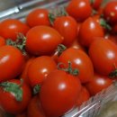 제로마진유통 이미지