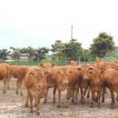 우만농장 이미지