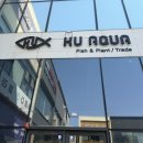 겨리우리피쉬 | 관평동 수족관 겨리우리피쉬에서 유목 구매하고 물고기, 거북이, 뉴트 구경하고 왔어요