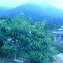 우승농장 이미지