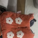 플러피 | 강아지 겨울옷 패딩 조끼 극세사 제품 : 마이 플러피 투스텝 패딩 내돈내산 후기