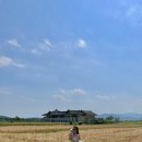 분황로(남) 네이버블로그