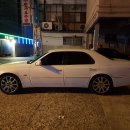 W-19 이미지