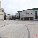 수원청소년문화센터 인라인스케이트장