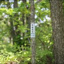 양지좌사 이미지