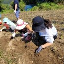 상이농장 이미지