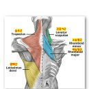 라이프짐 휘트니스 이미지