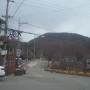 금정산성흑염소