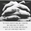 콘티헤어 이미지