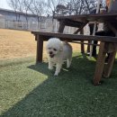 몽드드뚜뚜 이미지